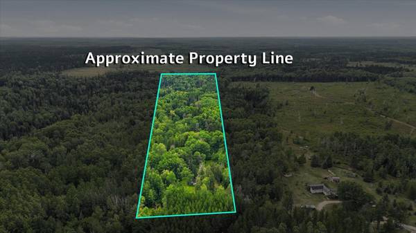 7961 Carpenter RD, Angora, MN 55703