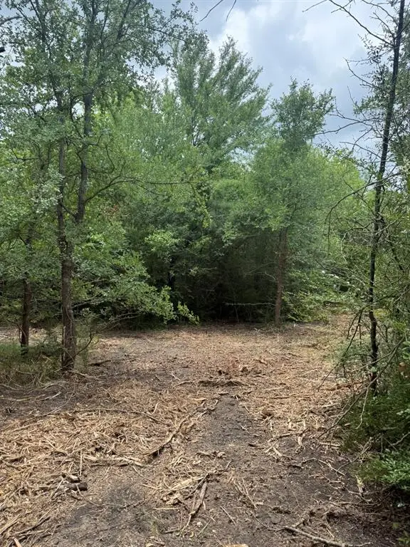 TBD 2 McKnight, Ferris, TX 75125