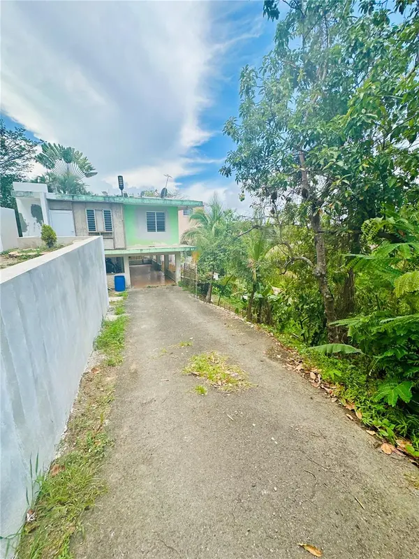 SR 185 KM 4.4 LOMAS DEL VIENTO, Canovanas, PR 00729