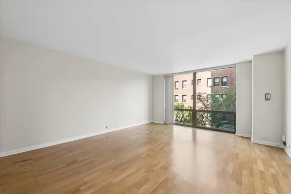 2650 N LAKEVIEW AVE #303, Chicago, IL 60614