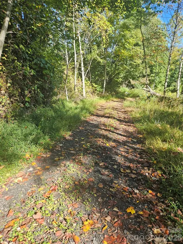 00 White Oak RD, Bakersville, NC 28705