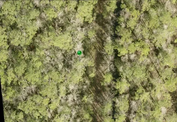 NO ST, Lake Helen, FL 32744