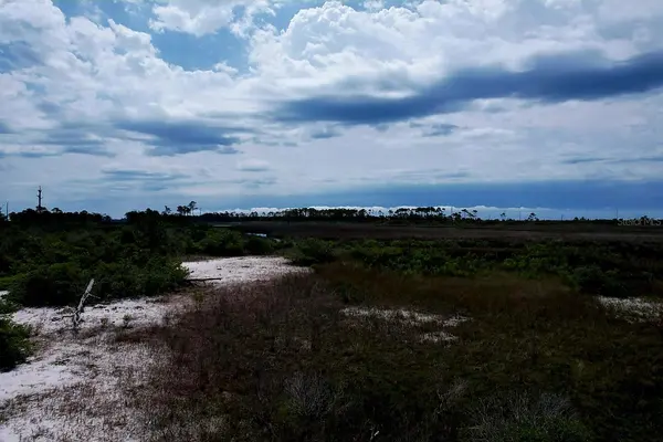 HORN ISLAND ACREAGE 16 PARCELS, Pascagoula, MS 39567