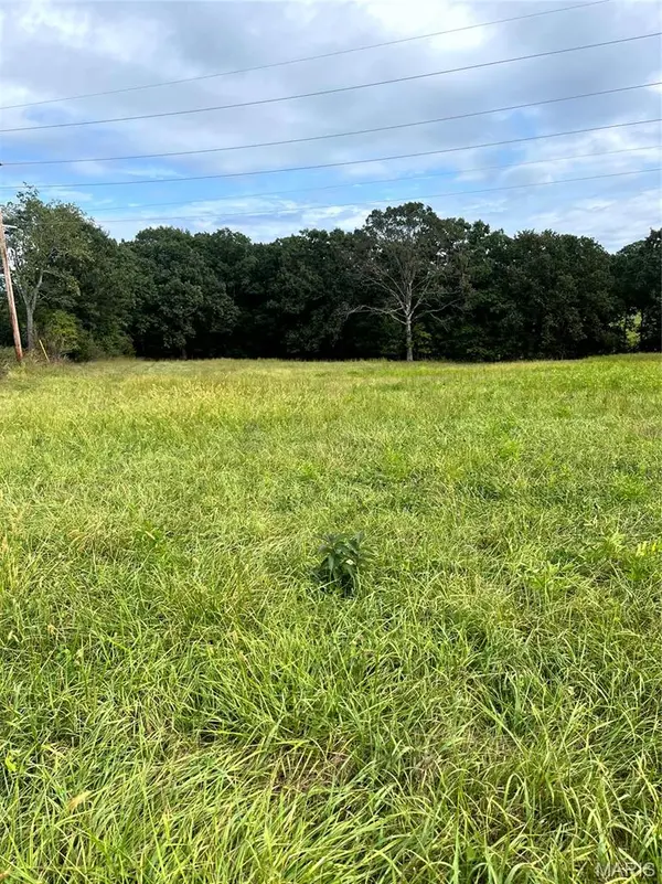 19.87 acres on Highway C, Leslie, MO 63056