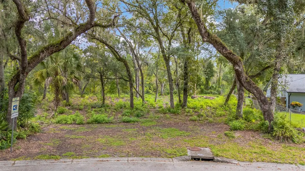 11731 GAIL DR, Temple Terrace, FL 33617