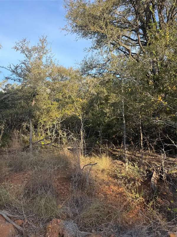 160 Helemano DR, Bastrop, TX 78602