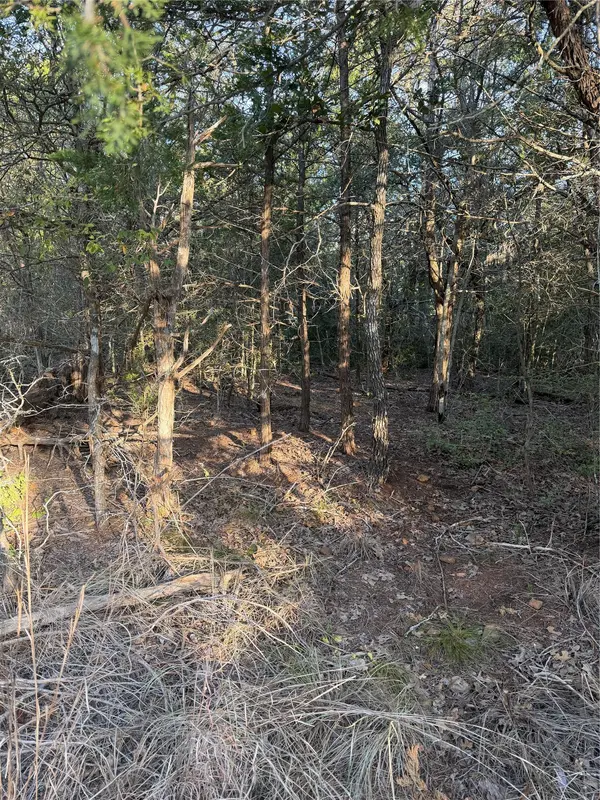160 Helemano DR, Bastrop, TX 78602