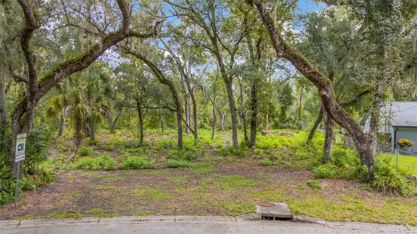 11731 GAIL DR, Temple Terrace, FL 33617