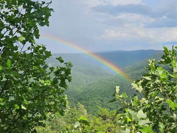 0 Grassy Ridge Rd, Beersheba Springs, TN 37305