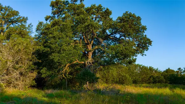 TBD County Road 243, Florence, TX 76527