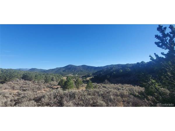 7363 Bidwell, Fort Garland, CO 81133