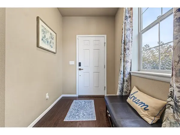 4305 Lyric Falls, Loveland, CO 80538