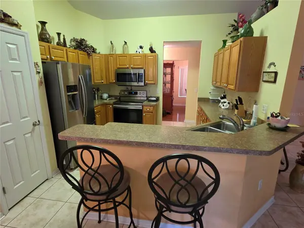 11026 LITTLE ST, Spring Hill, FL 34608