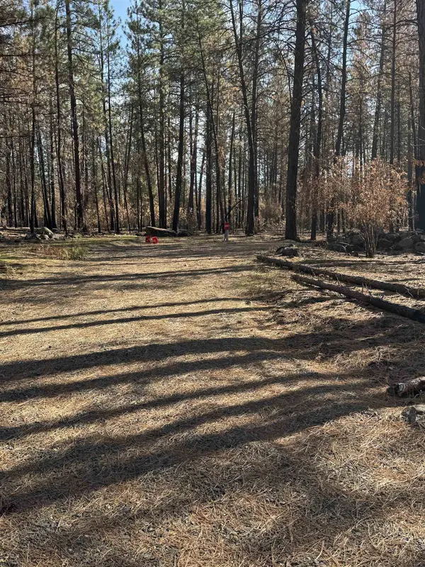 11308 W Charles Rd Rd, Nine Mile Falls, WA 99026