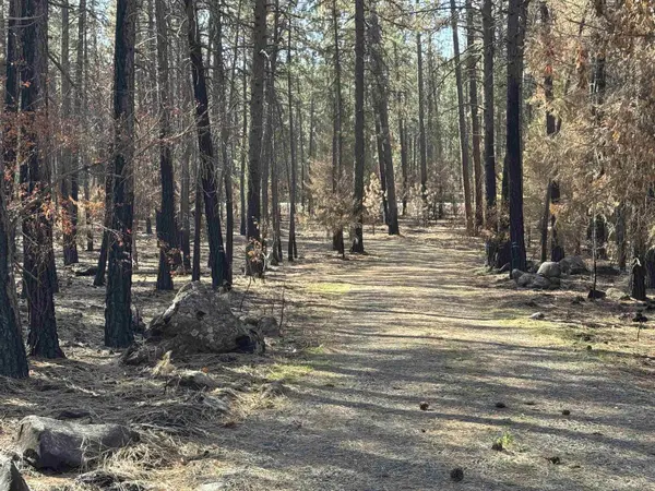11308 W Charles Rd Rd, Nine Mile Falls, WA 99026