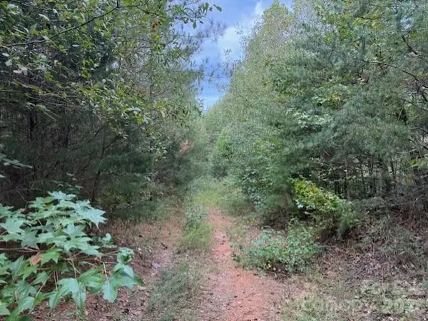 164 Blackburn DR, Grover, NC 28073