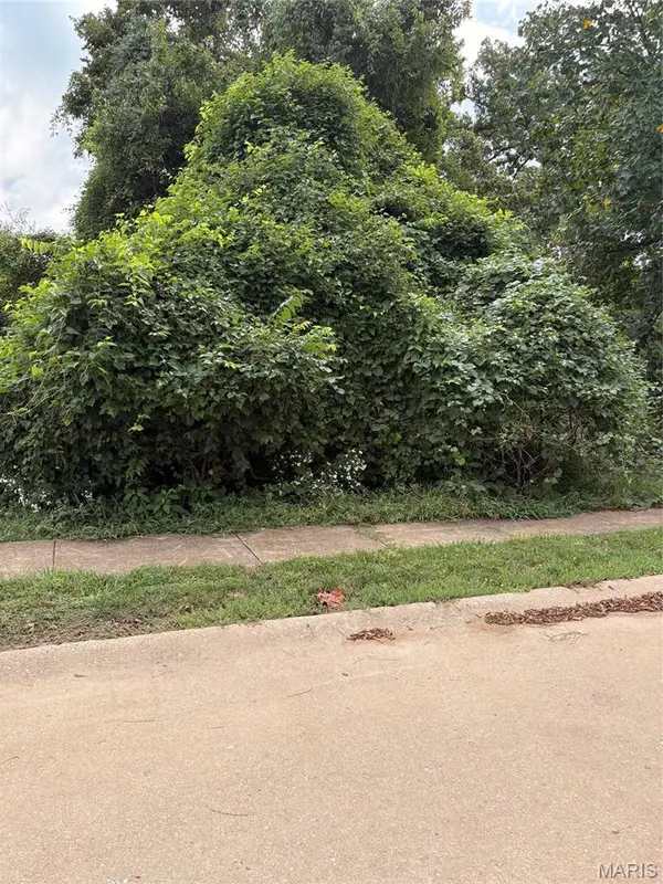 171 Cliff Cave RD, St Louis, MO 63129