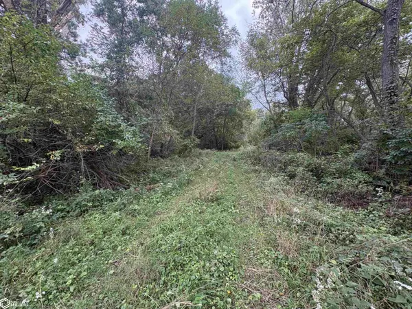 22361 Columbia ST, Keosauqua, IA 52565
