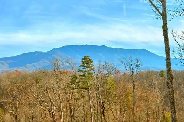 2136 E View Dr, Sevierville, TN 37876