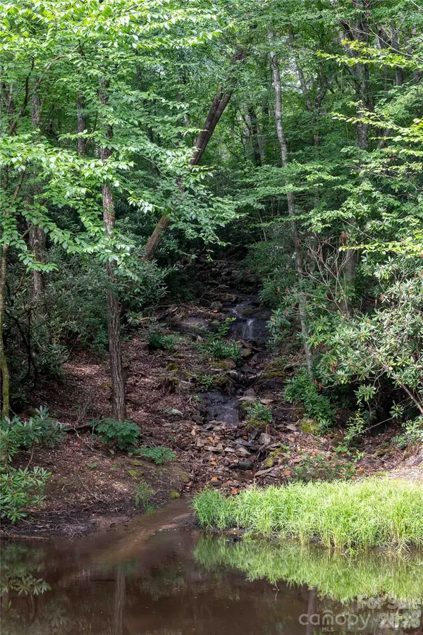 238 Falling Water DR, Burnsville, NC 28714