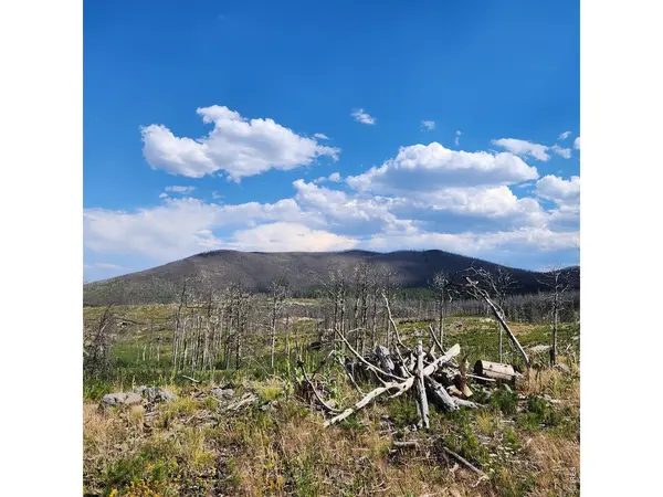 529 Quartz, Bellvue, CO 80512