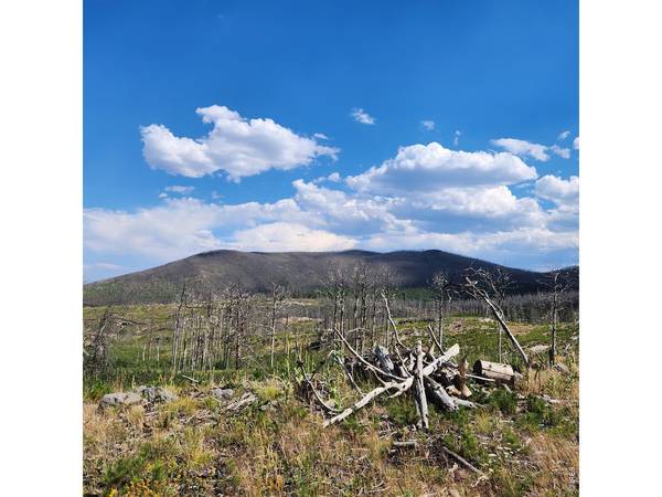 529 Quartz, Bellvue, CO 80512