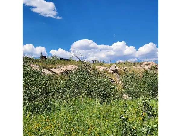 529 Quartz, Bellvue, CO 80512