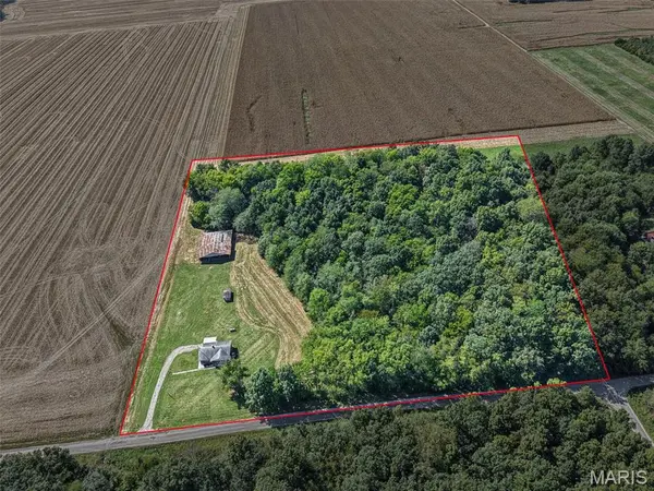 18385 N WHITE SWAN LN, Wood Lawn, IL 62898