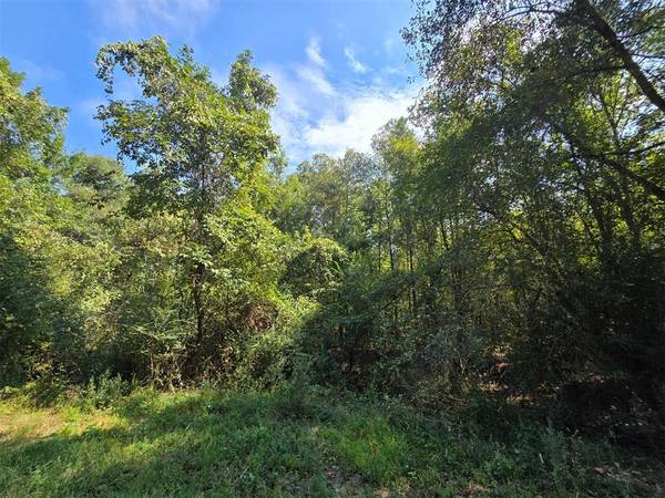 Buffalo RD #Lot A, Smithville, OK 74957