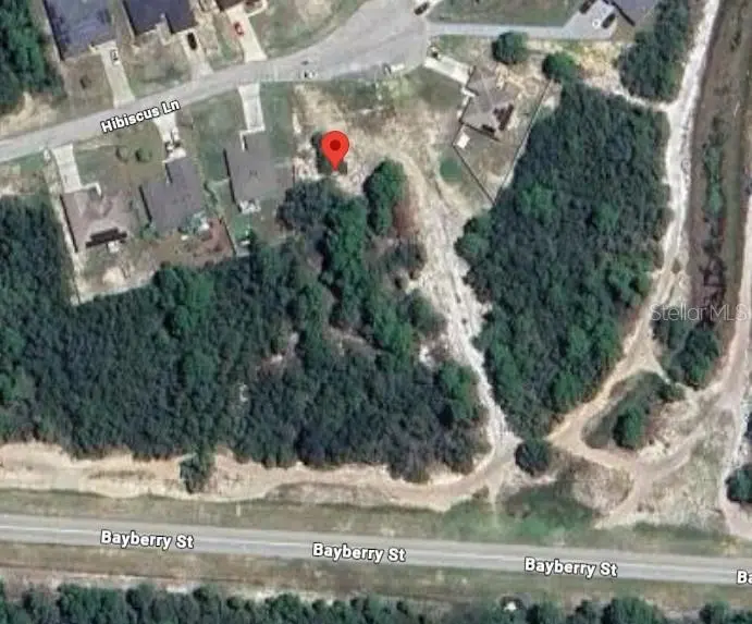 246 HIBISCUS LN, Poinciana, FL 34759