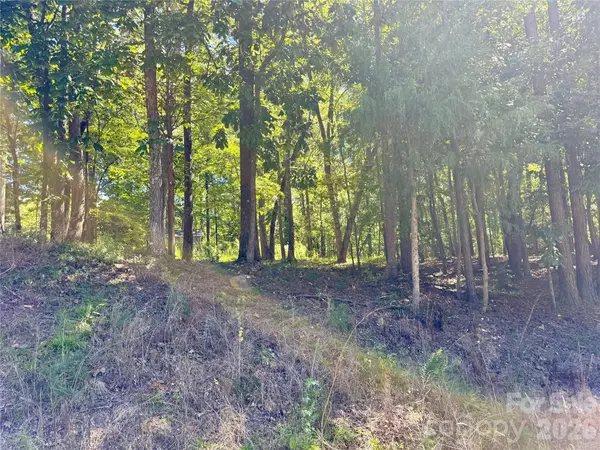 10062 Southwinds DR, Indian Land, SC 29707