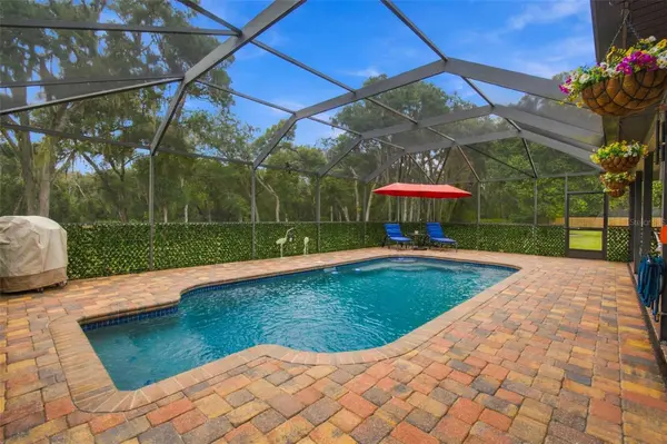 8985 FAIRCHILD CT, New Port Richey, FL 34654