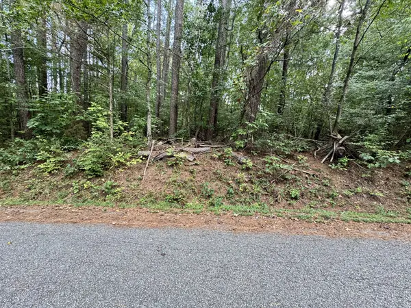 0 Forest Trail, Bumpus Mills, TN 37028