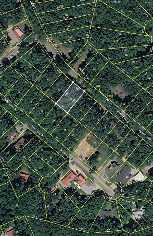 0 Forest Trail, Bumpus Mills, TN 37028