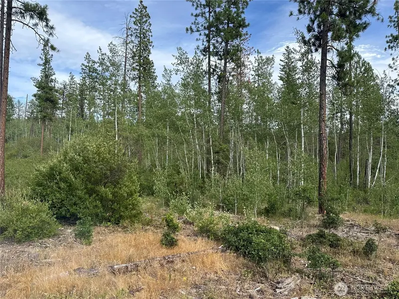 0 Lot 5 Greyback Mt RD, Goldendale, WA 98620