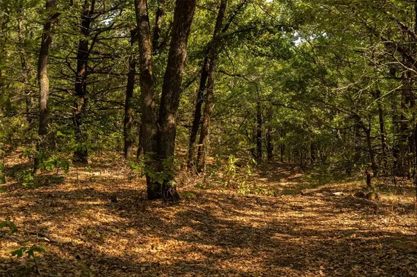 4 Acres Tipps Lane, Whitesboro, TX 76273