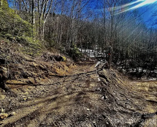 3837 & 3689 Plott Balsam RD, Maggie Valley, NC 28751