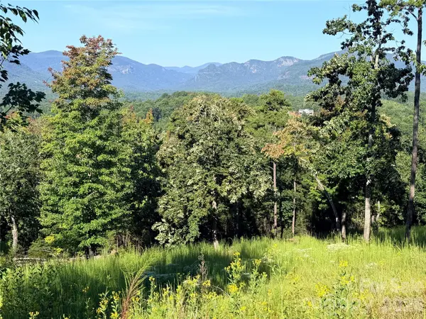 0 Summertime DR, Lake Lure, NC 28746