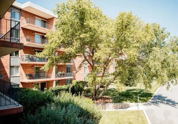 16 E Old Willow RD #206-S, Prospect Heights, IL 60070