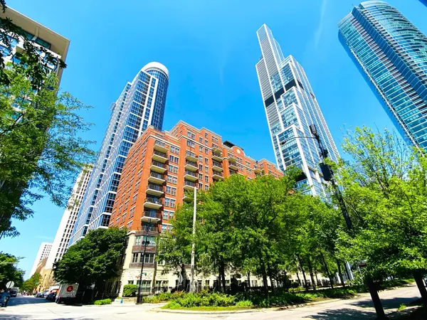 1250 S Indiana AVE #308, Chicago, IL 60605