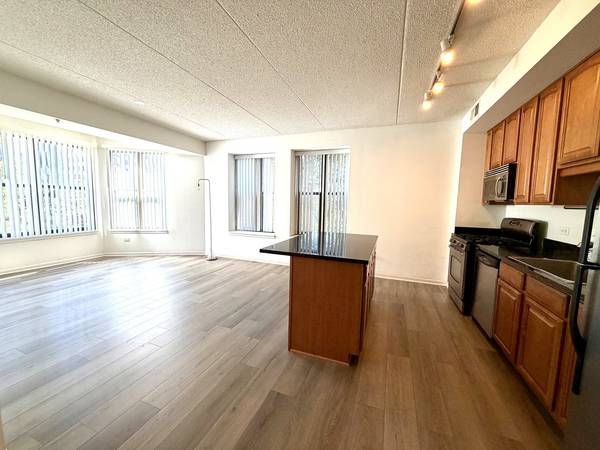 1250 S Indiana AVE #308, Chicago, IL 60605