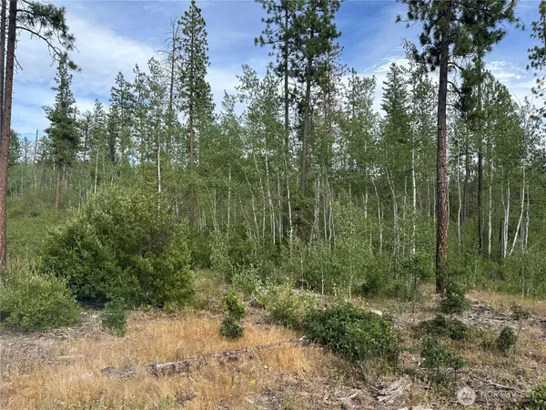 0 Lot 5 Greyback Mt RD, Goldendale, WA 98620
