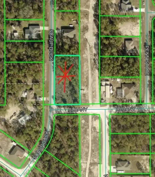 12421 ALBANY RD, Weeki Wachee, FL 34614