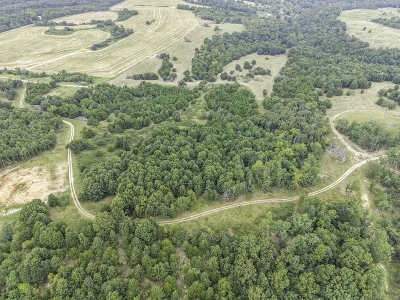 000 Gravel Point RD, Mountain Grove, MO 65711