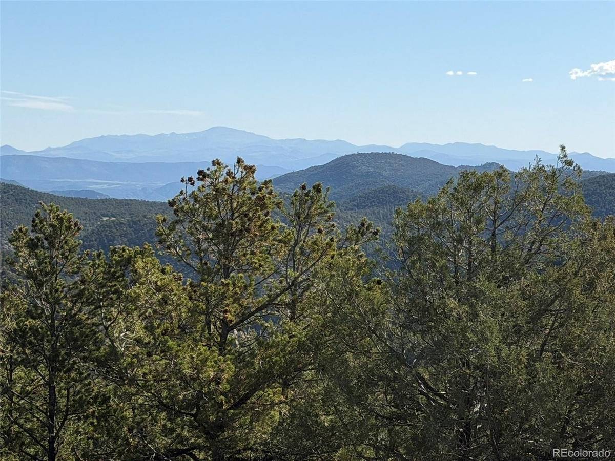 20 Molly, Cotopaxi, CO 81223
