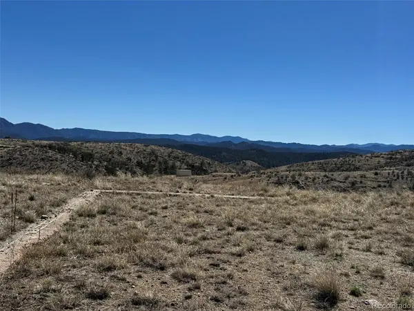 184 Carpenter, Cotopaxi, CO 81223