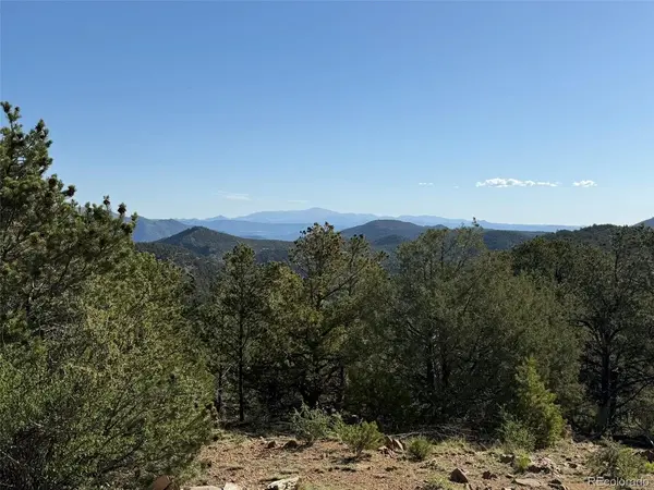 20 Molly, Cotopaxi, CO 81223