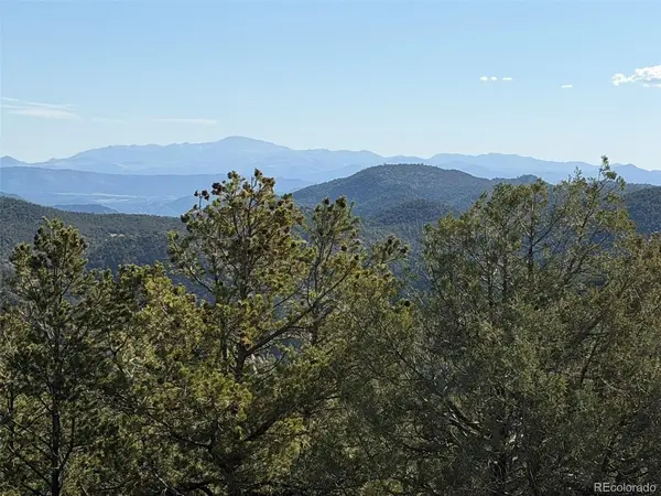 20 Molly, Cotopaxi, CO 81223