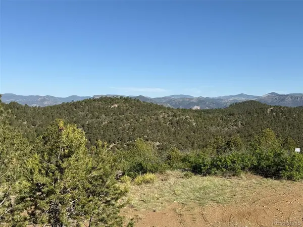 20 Molly, Cotopaxi, CO 81223
