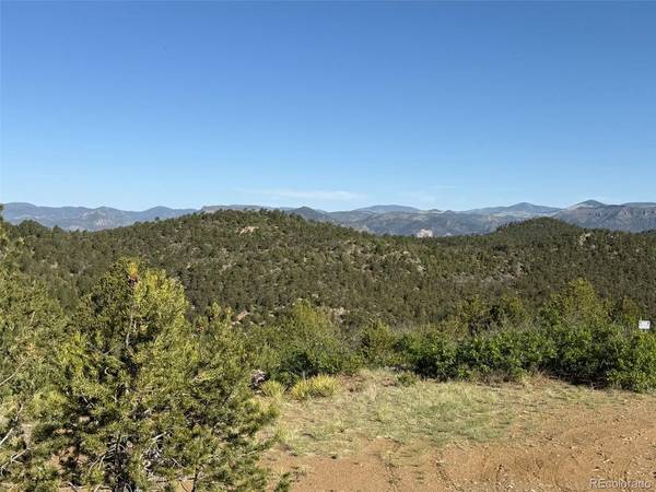 20 Molly, Cotopaxi, CO 81223